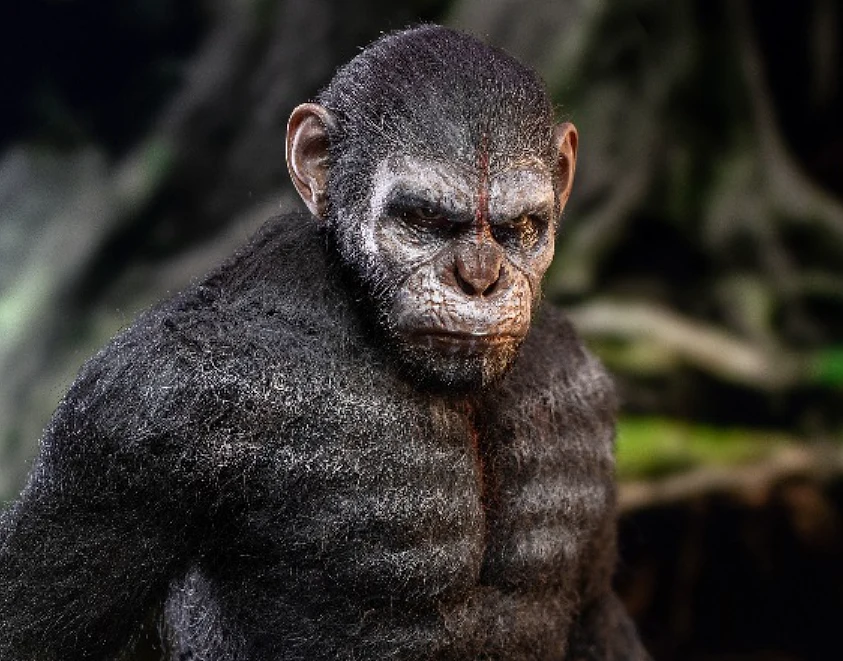 Ape Leader (War Paint, Caesar)