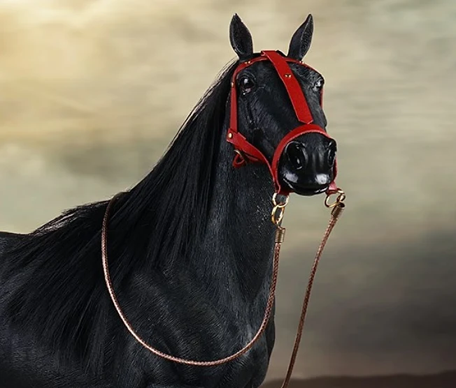 Aushiuguma (The Steed of Date Masamune)