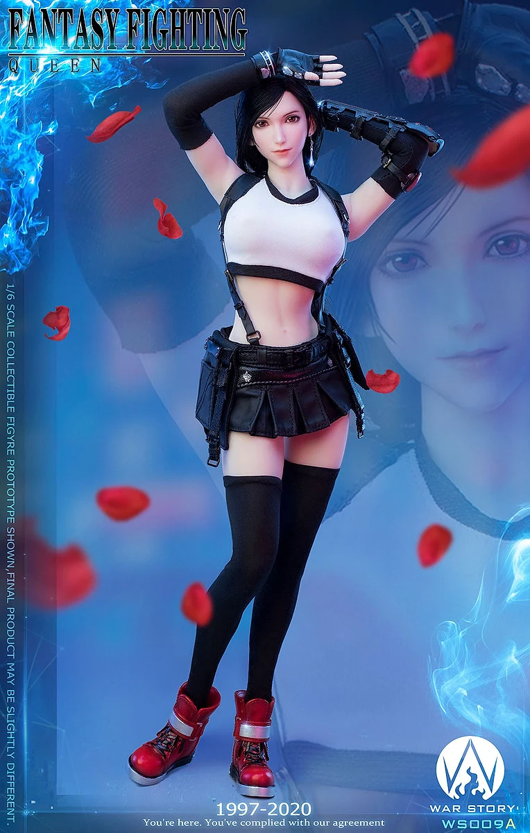 Fantasy Fighting Queen (Tifa Lockhart)