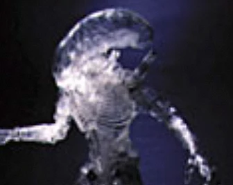 Stealth Alien