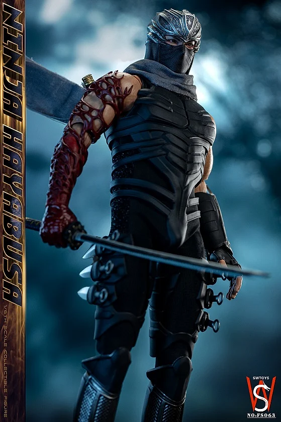 Ninja Hayabusa (Ryu Hayabusa)