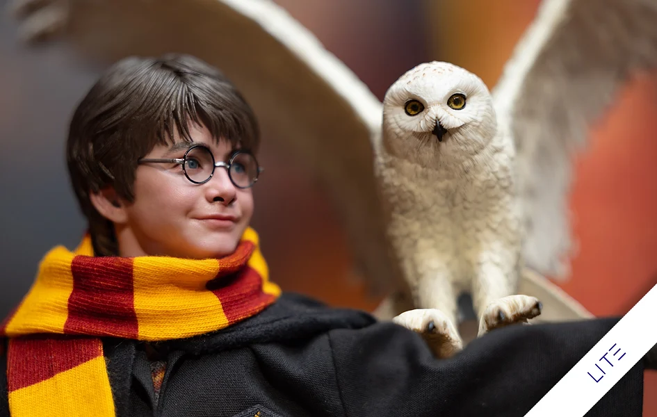 Harry Potter