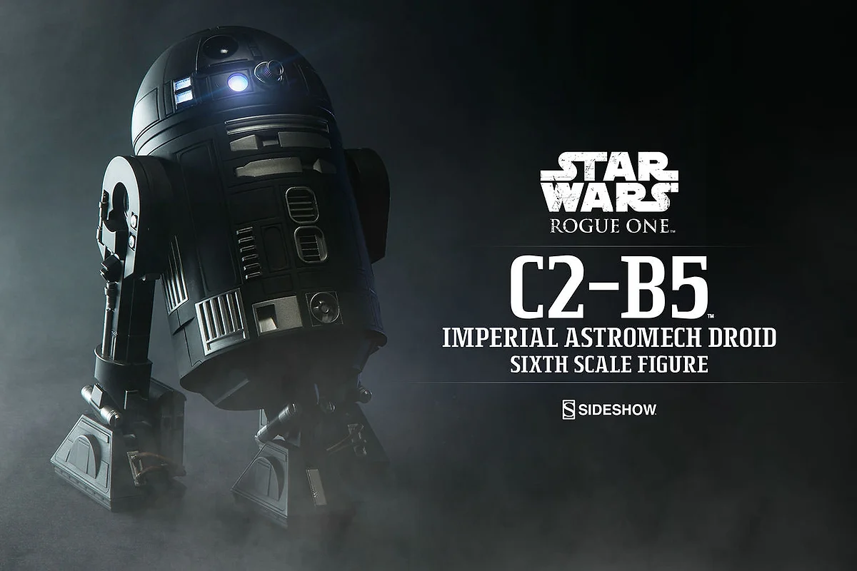 C2-B5
