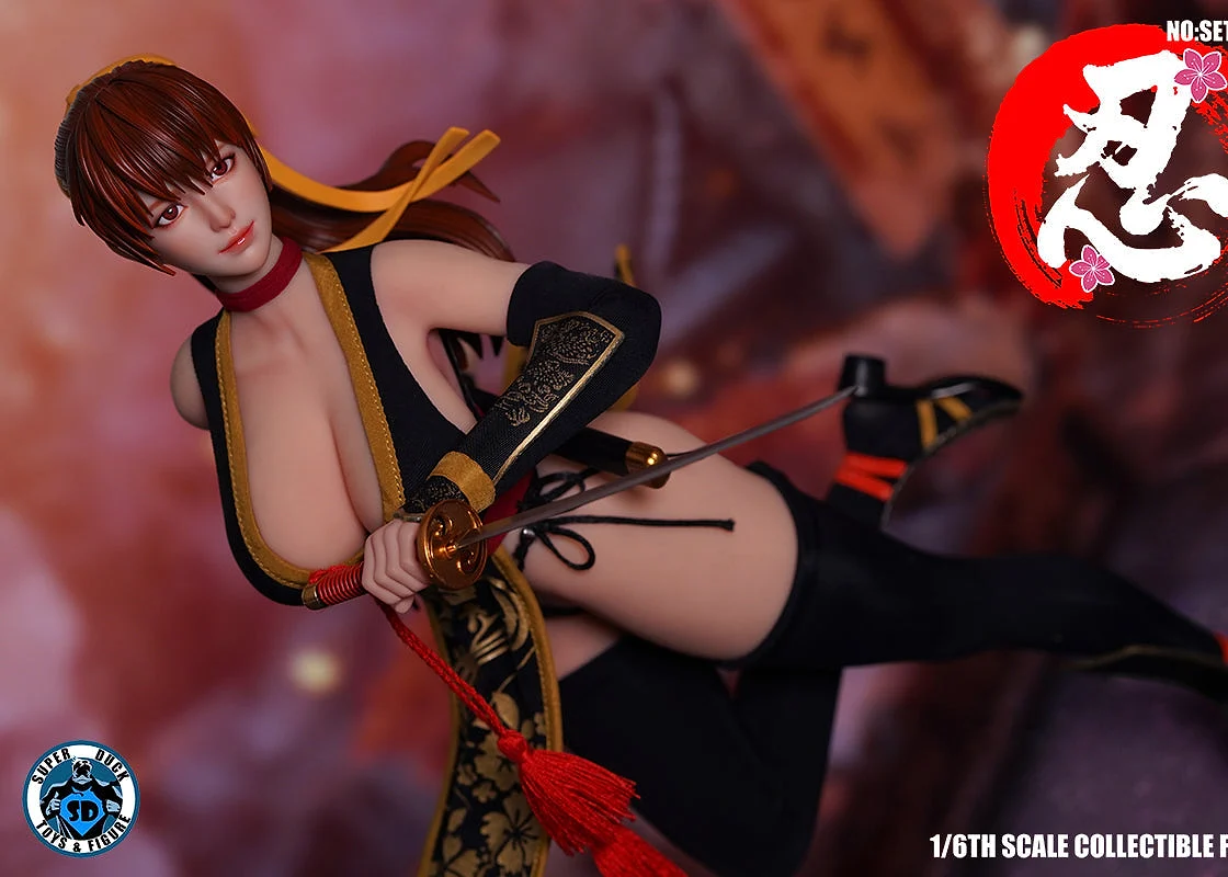 Female Ninja Xia (Kasumi, Black Version)