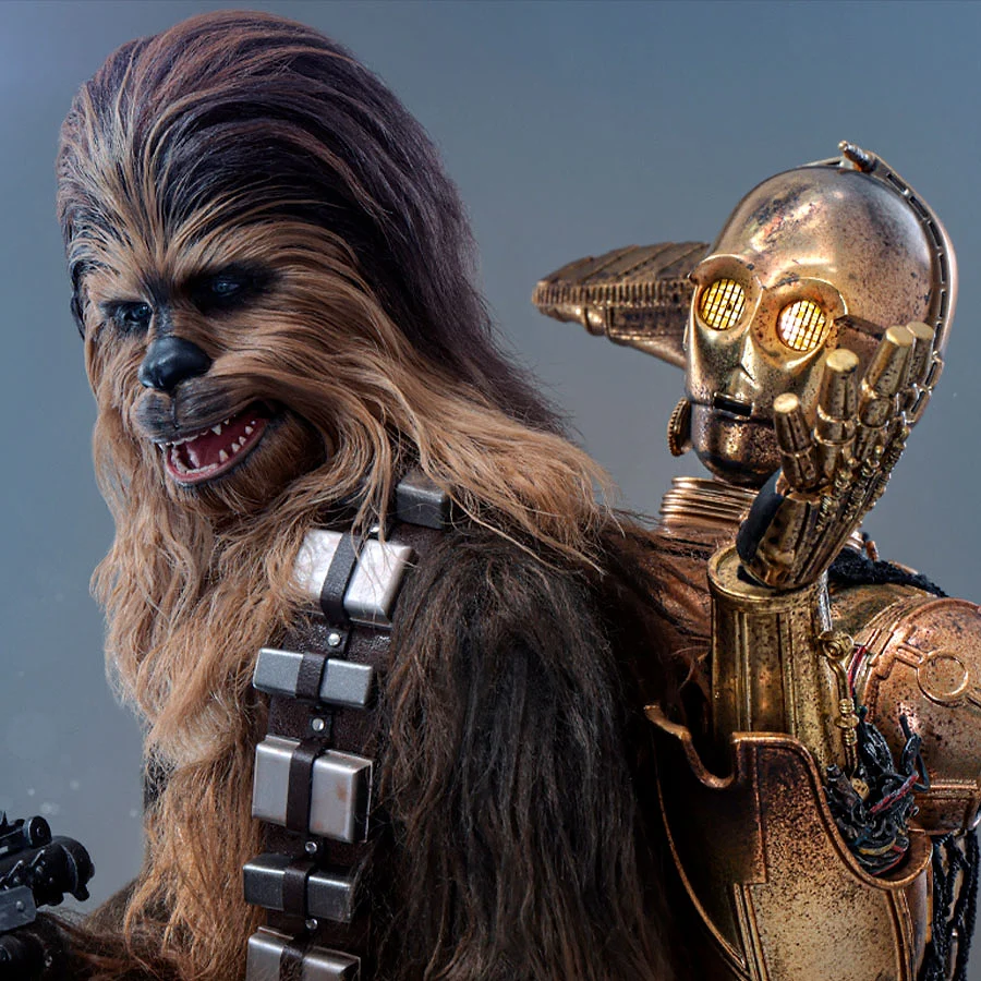 Chewbacca & Disassembled C-3PO