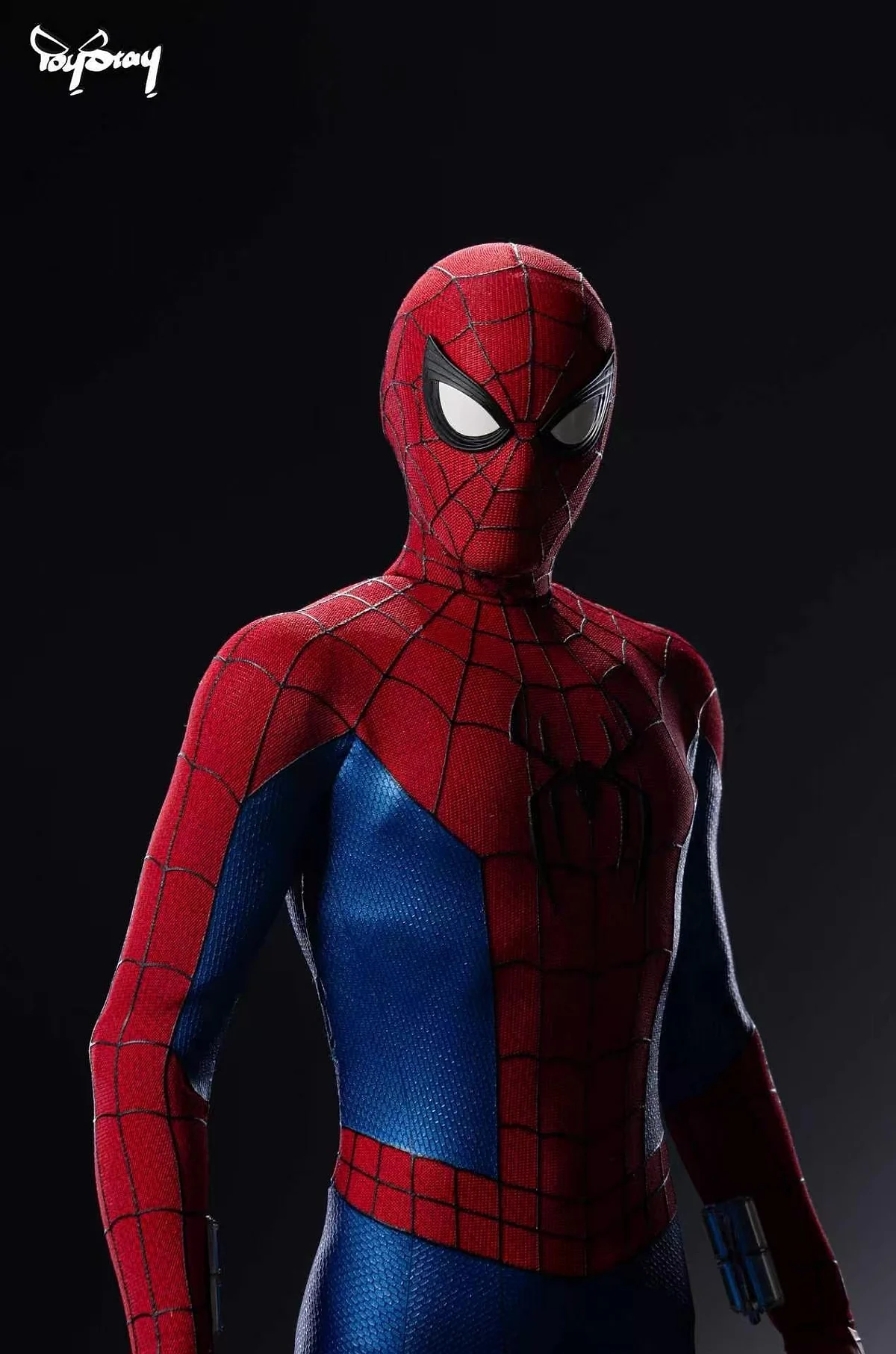 Spider-Man (BND Headsculpt)