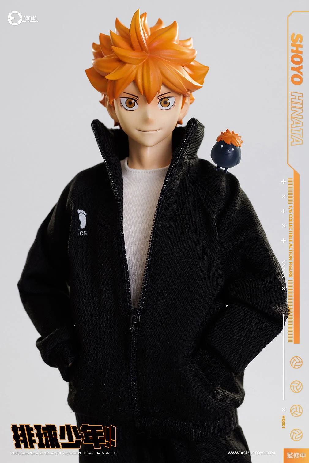 Shoyo Hinata