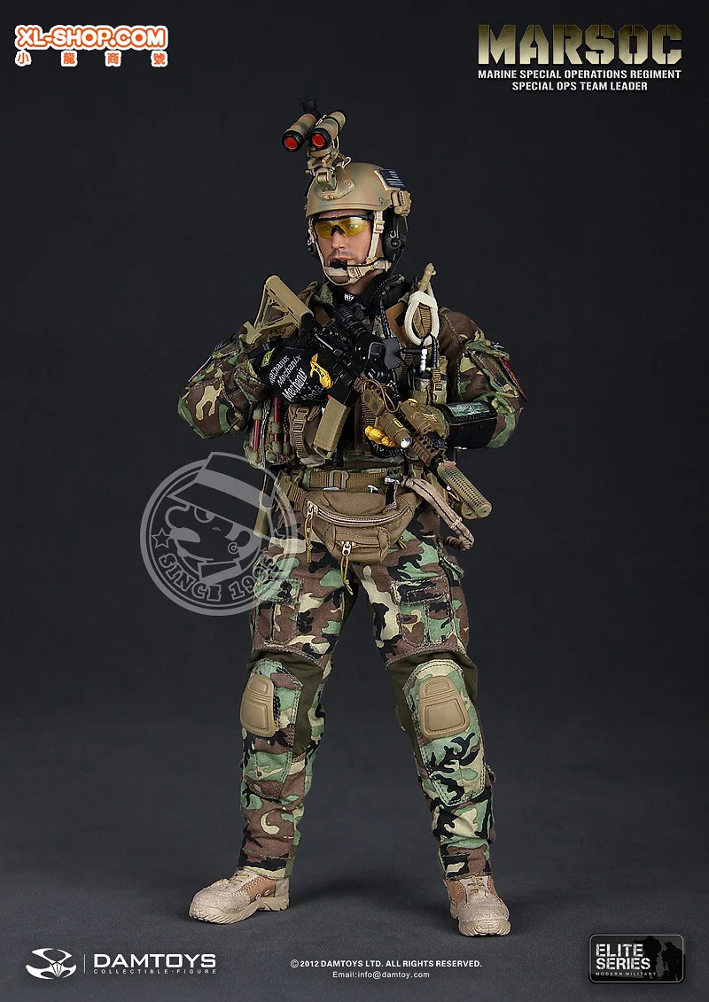 US Marine Corps Forces Special Operations Command team leader