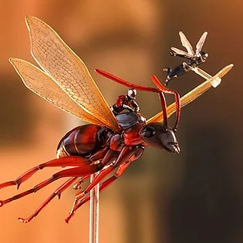 Ant-Man On Flying Ant & The Wasp