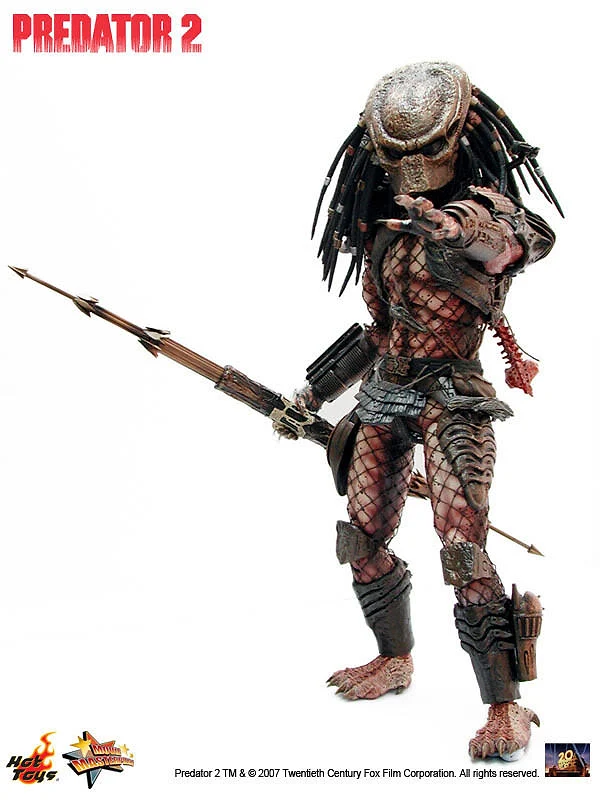City Hunter Predator