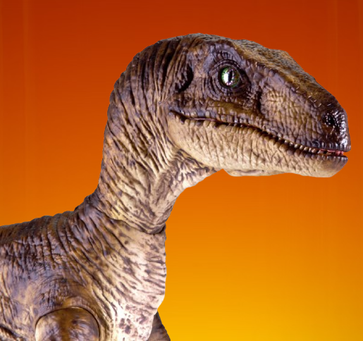 Velociraptor