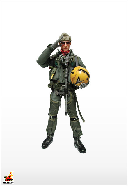F-14 Tomcat Pilot