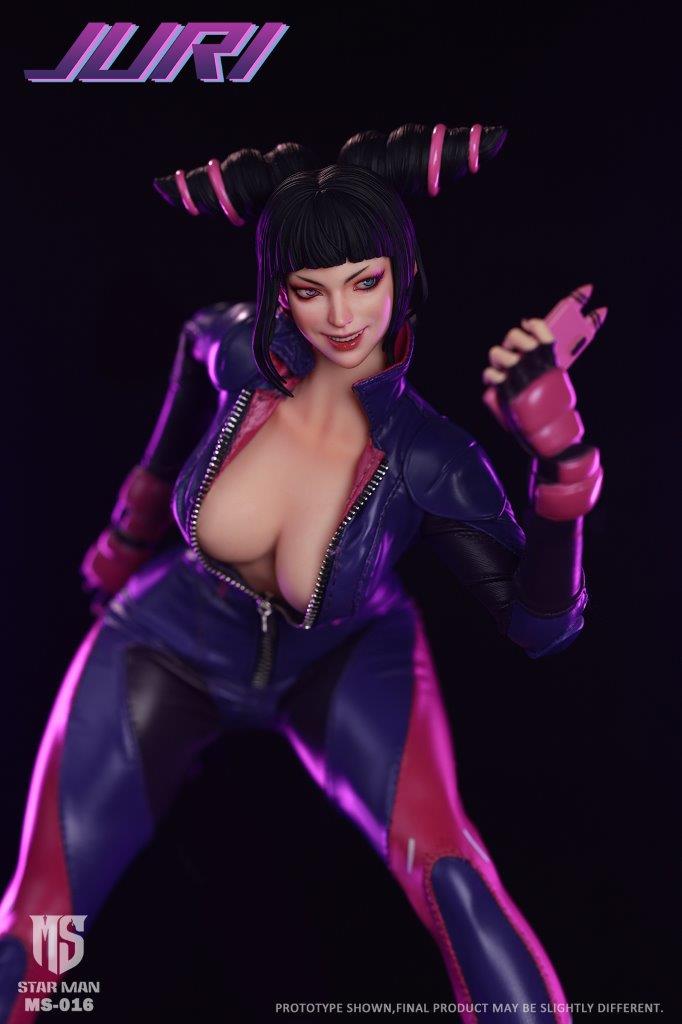 Fighter Han (Juri Han)